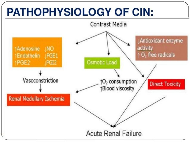 cin 2contrast-induced-nephropathy-16-638